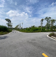 Cần Bán 75M2 Đất Đấu Giá Ngọc Mỹ, Hướng Đông Nam Chỉ 83 Triệu/M2