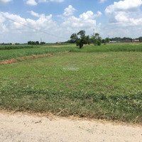 Giảm Sâu, Cần Bán Lô Đất Vườn 500M2, Ngay Chợ Hòa Khánh, Đường Xe Ô Tô, Giá Cực Tốt 1Tỷ250 Cả Lô
