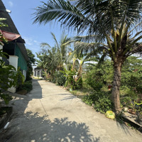 Bán Đất Đẹp Gần Ngay Bến Xe Liên Tỉnh, Diên Toàn, Cách Võ Nguyên Giáp Chỉ 100M,