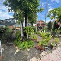 Bán Lô Đất Tại Xã Tân Phú Trung Huyện Củ Chi. Diện Tích: 1590,4M2. Sổ Hồng Đầy Đủ. Giá: 17,8 Tỷ.