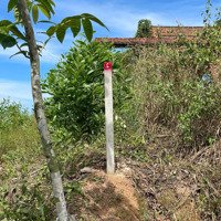 Bán Đất Tl768 (Cách Trung Tâm Hành Chính Vĩnh An), Xã Trị An 6Km