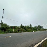 Bán Đất Tl768 (Cách Trung Tâm Hành Chính Vĩnh An), Xã Trị An 6Km