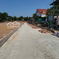 Chính Chủ Bán Gấp Tại Thái Lai , Minh Trí, Sóc Sơn , Hà Nội ,Diện Tích110M2,Mặt Tiền6,5M, View Đẹp