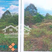 Bán Đất Tại Thửa Đất Số: 559, Tờ Bản Đồ Số: 22, Địa Chỉ: Xã Lộc An, Huyện Bảo Lâm, Tỉnh Lâm Đồng