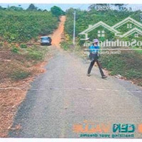Bán Đất Tại Thửa Đất Số: 559, Tờ Bản Đồ Số: 22, Địa Chỉ: Xã Lộc An, Huyện Bảo Lâm, Tỉnh Lâm Đồng