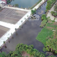 50 Lô F0 Gần Khu Công Nghiệp Tràng Duệ 3 Giá Bán 500 Triệu Đến 900 Triệu Vị Trí Đẹp