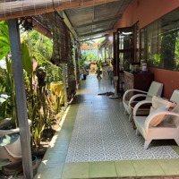 Cho Thuê Đất Vườn Làm Quán Coffee Check-In/Workshop Tại Cầu Đình, Long Phước, Tp. Thủ Đức
