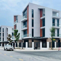 Việt Kiều Có Nên Mua Bất Động Sản Tại Vinhomes Ocean Park 3 Để Đầu Tư Năm 2025 Không?