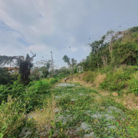 Bán Lô Đất Đẹp 362M2(Có 230 Thổ Cư) Mặt Tiền Hải Đăng Bãi Trước Vũng Tàu View Biển Giá Chỉ 47 Triệu/M2