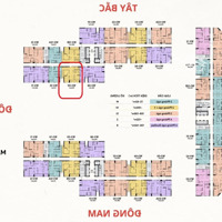 Cần Bán Gấp Căn Hộ 99M² Tại The Wisteria Giá Chỉ 6.1 Tỷ, Bao Phí.