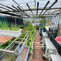 Cần Tiền Bán Gấp! Nhà Khương Đình - Thanh Xuân, Diện Tích: 35M2, 6Tầng, Nhà Đẹp, Giá Thương Lượng