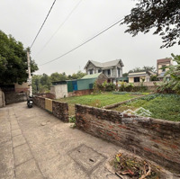 Bán Nhanh 181M2 Đất Thổ Cư Trạch Lôi, Trạch Mỹ Lộc, Phúc Thọ, Hà Nội, 18 Triệu/M2, 181 M2, Giá Tốt!