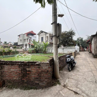 Bán Nhanh 181M2 Đất Thổ Cư Trạch Lôi, Trạch Mỹ Lộc, Phúc Thọ, Hà Nội, 18 Triệu/M2, 181 M2, Giá Tốt!