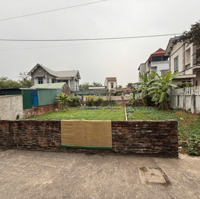 Bán Nhanh 181M2 Đất Thổ Cư Trạch Lôi, Trạch Mỹ Lộc, Phúc Thọ, Hà Nội, 18 Triệu/M2, 181 M2, Giá Tốt!
