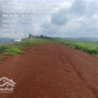 Bán 04 Sào Đất Tại Tân Thượng, Di Linh, Lâm Đồng, Mỗi Xào 1,7 Tỷ, 1000M2 Giá Siêu Hời