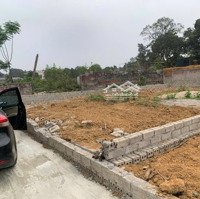 Chính Chủ Bán Lô Đất Thôn Đồi Vua, Xã Sơn Đông, Thị Xã Sơn Tây, Vị Trí Đẹp