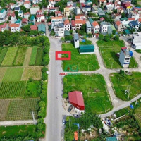 Bán Đấu Giá X2 Sơn Du View Vườn Hoa Độc Nhất - Hướng Bắc