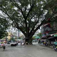 Bán Nhà Phố Thụy Khuê - Kinh Doanh Đỉnh - Hiếm