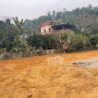 Chính Chủ Cần Bán Đất Thạch Thất, Hà Nội,Diện Tích1668M2, Cách Đại Lộ Thăng Long 200M, Giá Tốt Để Đầu Tư
