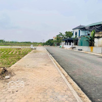 Bán Nhanh 100M2 Cd Quán Trạch - Liên Nghĩa, Đường Rộng 8M Giao Thông Thuận Tiện Ngay Sát Vành Đai 4