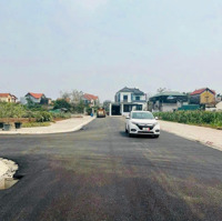 Bán Nhanh 100M2 Cd Quán Trạch - Liên Nghĩa, Đường Rộng 8M Giao Thông Thuận Tiện Ngay Sát Vành Đai 4