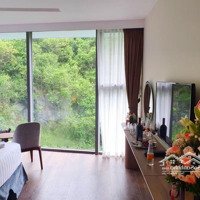 Bán Gấp Cắt Lỗ Căn Tại Tòa Sea Chỉ 2.3 Tỷ Đã Có Sổ Dự Án Flamingo Cát Bà Hải Phòng