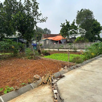 Bán Đất Tại Đường 420, Thạch Thất, 65M2, Nhiều Tiện Ích