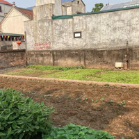Chủ Cần Tiền Bán Gấp 48M2 Đất Thụy Hương, Khu Dân Cư Đông Đúc, Giá Rẻ Giật Mình