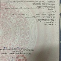 Bán Căn A2-... Biệt Thự Song Lập Tại Times Garden - Mặt Đường Lý Nam Đế