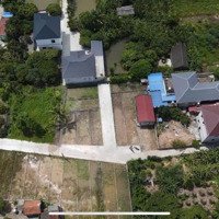 Bán Đất Bát Trang - An Lão. Chính Chủ Gửi Bán Từ Lô 6,8