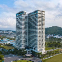 Căn Hộ Khách Sạn Citadines View Vịnh Biển Trung Tâm Du Lịch Hạ Long Chỉ Từ 1,4 Tỷ