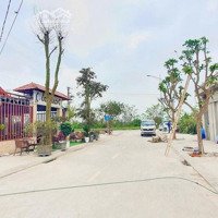 Bán Đất Đấu Giá Trung Thành - Hưng Đông (Khu A) Lô Góc Siêu Đẹp Tương Lai Tăng Giá Và Kinh Doanh