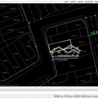 Hoàng Hoa Thám Tân Bình Dt: 5X14M - Tiện Xây Mới Chỉ 13Tỷ