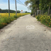 Bán Lô Đất Đường Bê Tông Cách Nhựa Tl9 Vào Chỉ 150M, Shr Xây Nhà, Đầu Tư Cực Đẹp | 0915.852.991