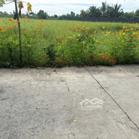 Bán Lô Đất Đường Bê Tông Cách Nhựa Tl9 Vào Chỉ 150M, Shr Xây Nhà, Đầu Tư Cực Đẹp | 0915.852.991