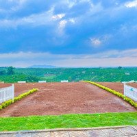 Đất Vàng Gần Nút Giao Cao Tốc, Sổ Riêng, Giá Bán 872 Triệu!