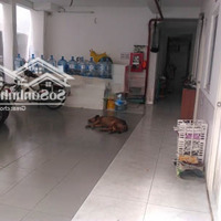 Cho Thuê Phòng Giá Rẻ Có Hệ Thống Pccc An Toàn Trung Tâm Phường 3, Quận Tân Bình