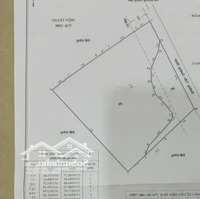Bán Gấp 2700M2 Đất Mặt Tiền Đ Trần Quang Nhơn - Bình Khánh - Cần Giờ. Giá:8, 5 Triệu/M2. Liên Hệ:0938888299