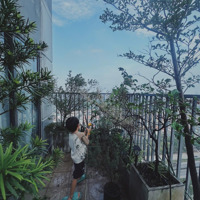 Chính Chủ Bán Căn Góc 127.5M2 The Two Gamuda, 2 Ban Công, View Công Viên, Giá Chỉ 9.25 Tỷ