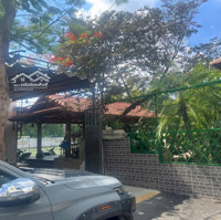 Nhà Đất Giá Rẻ Mua Sinh Lời Cao . Quận 12 , Tp. Hcm