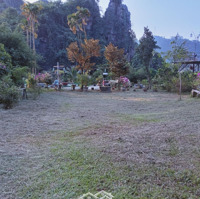 Bán 5500M2 Có 1600M2 Thổ Cư Viêw Suối Cánh Đồng Núi Đá Như Hạ Long