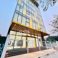 Văn Phòng Cho Thuê 75M2, Giá Chỉ 10 Triệu/Tháng Tòa Nhà Mặt Đường Trịnh Văn Bô