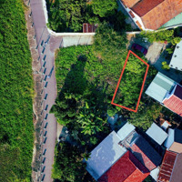 Diên Hoà Diên Khánh, Diên Lạc Tương Lai