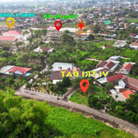 Diên Hoà Diên Khánh, Diên Lạc Tương Lai