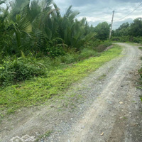 Bán Đất 4200M2. Mặt Tiền Sông Lớn, Đ Bà Xán, Tam Thôn Hiệp, Cần Giờ. 2. 2 Triệu/M2. Liên Hệ: 0938888299