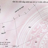 Bán Đất 4200M2. Mặt Tiền Sông Lớn, Đ Bà Xán, Tam Thôn Hiệp, Cần Giờ. 2. 2 Triệu/M2. Liên Hệ: 0938888299