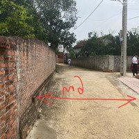 Bán Đất Tân Xã, Thạch Thất, Hà Nội Giá Tốt Nhất Thị Trường Chỉ 2,4 Tỷ 64M2