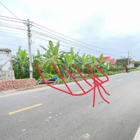 Bán Lô Đất 132,4Mv Chính Chủ Mặt Đường 301 Bát Trang An Lão