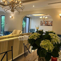 Biệt Thự Thượng Lưu Không Dành Cho Số Đông Giá Trị Đẳng Cấp Giá Chỉ 35 Tỷ
Sở Hữu Ngay Căn Biệt