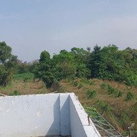 Căn Nhà Vườn Sẵn Hồ Cá .Giá Mềm Nhũn